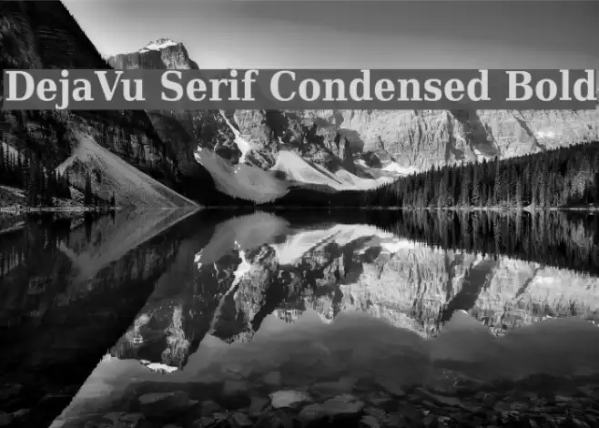 DejaVu Serif Condensed Bold Font examples