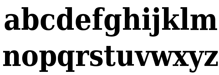 DejaVu Serif Condensed Bold Font LOWERCASE