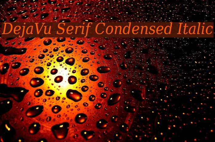 DejaVu Serif Condensed Italic Font examples