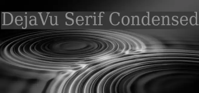 DejaVu Serif Condensed Font examples
