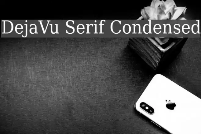 DejaVu Serif Condensed Font examples