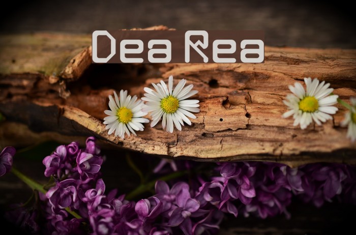 Deka Regular Caratteri examples