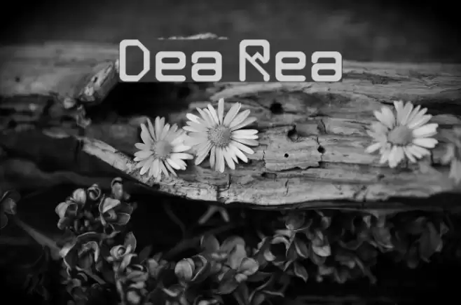 Deka Regular Font examples