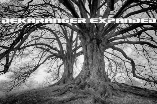 Dekaranger Expanded Font examples