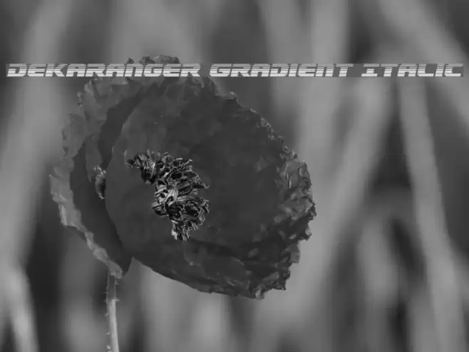 Dekaranger Gradient Italic Font examples