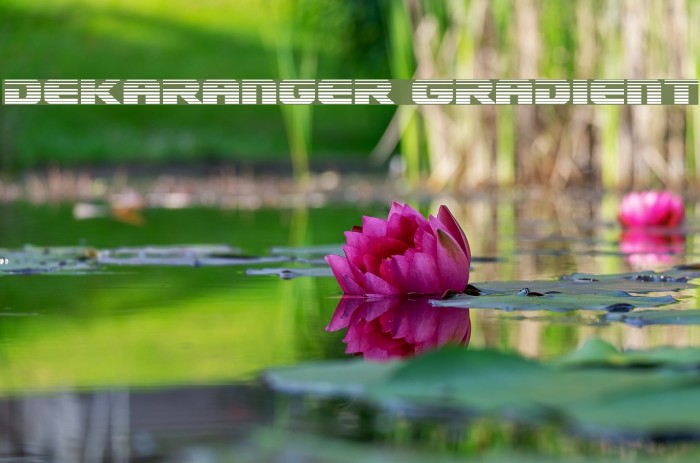 Dekaranger Gradient Font examples