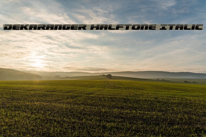 Dekaranger Halftone Italic Font examples