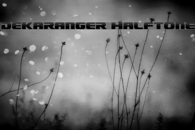 Dekaranger Halftone Example 1