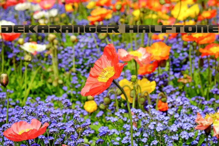 Dekaranger Halftone Font examples