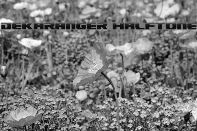 Dekaranger Halftone Example 2