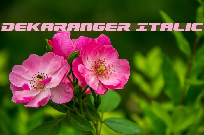 Dekaranger Italic Font examples