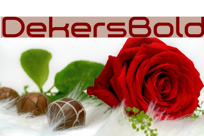 Dekers_Bold 字体 examples