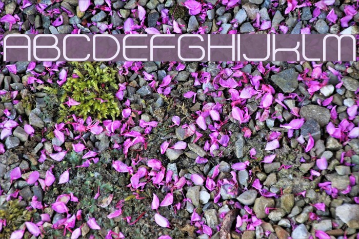 Dekers_light Font examples