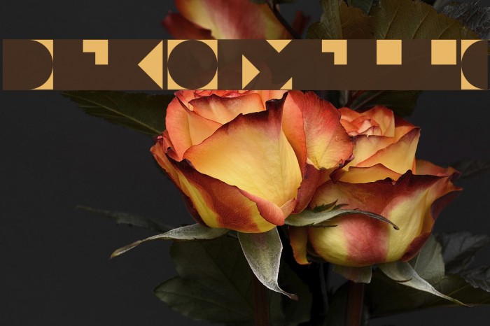 Deko Yello Example 2