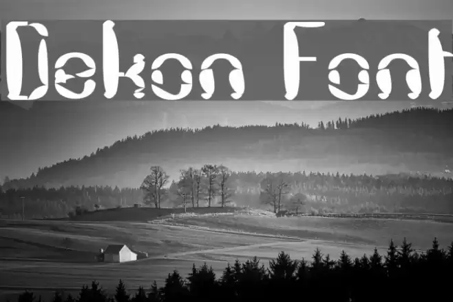Dekon Polices examples