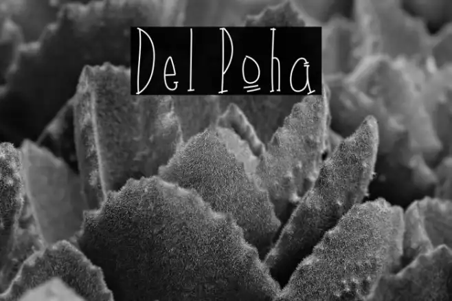 Del Poha Example 1