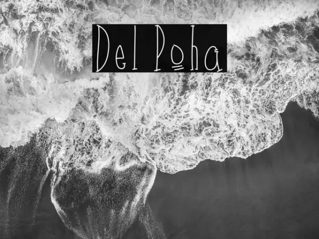 Del Poha Example 2
