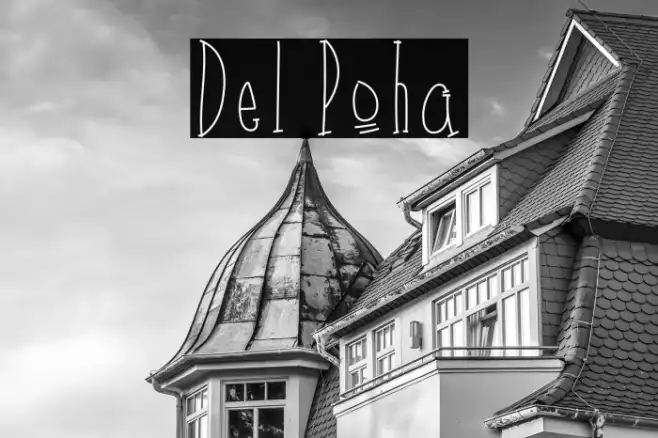 Del Poha Example 3