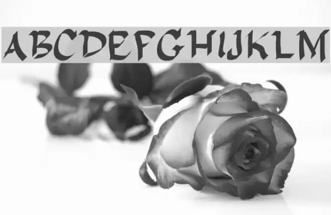 DelaGarza Font examples