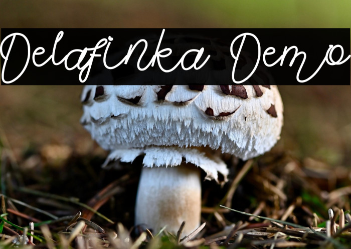 Delafinka Demo Example 1