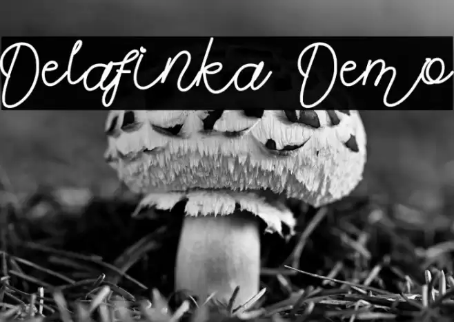 Delafinka Demo Font examples