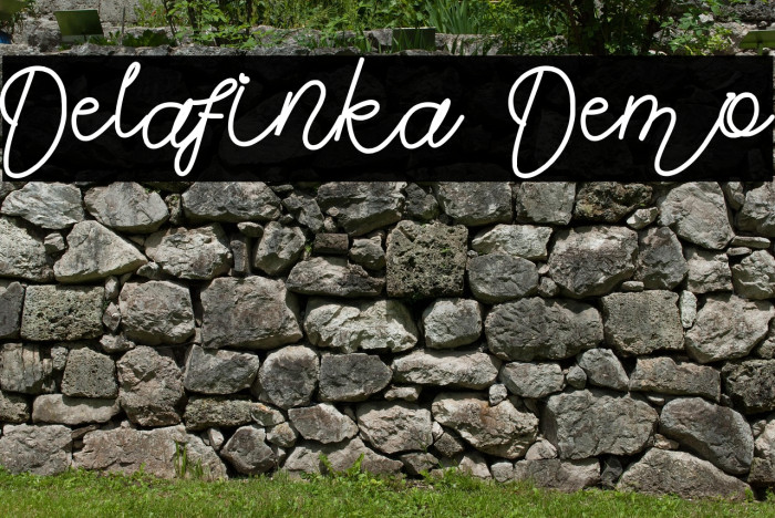 Delafinka Demo Example 3
