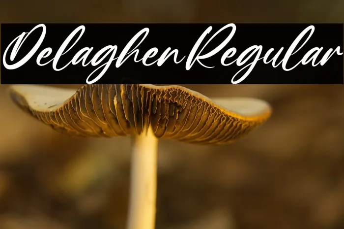 Delaghen Regular Example 1