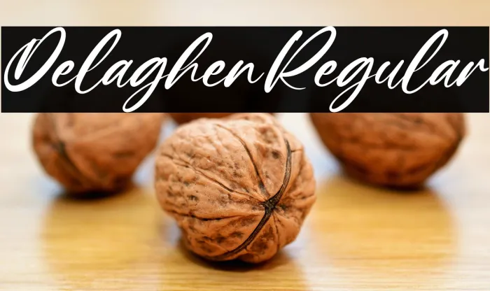 Delaghen Regular Example 2