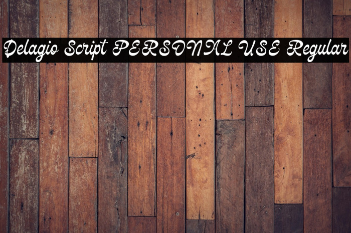 Delagio Script PERSONAL USE Regular Example 1