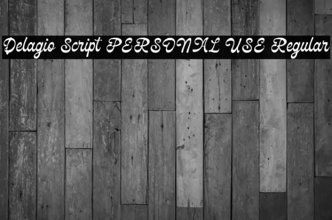 Delagio Script PERSONAL USE Regular Example 1