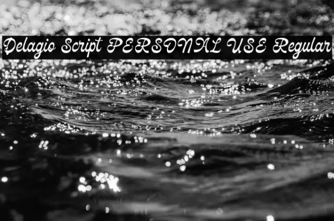 Delagio Script PERSONAL USE Regular Example 3