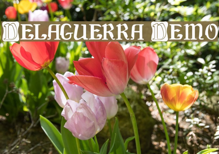 Delaguerra Demo Font examples