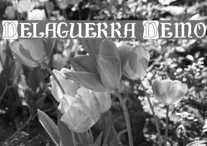 Delaguerra Demo Fonte examples