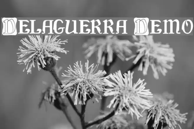 Delaguerra Demo Fonte examples
