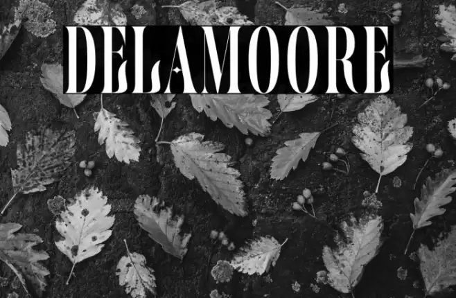 Delamoore Font examples
