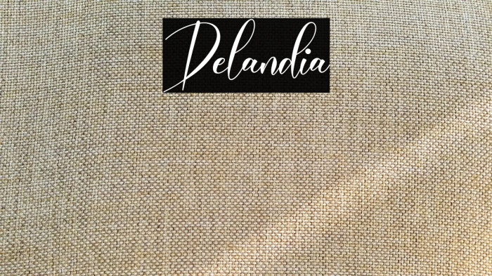 Delandia Example 1