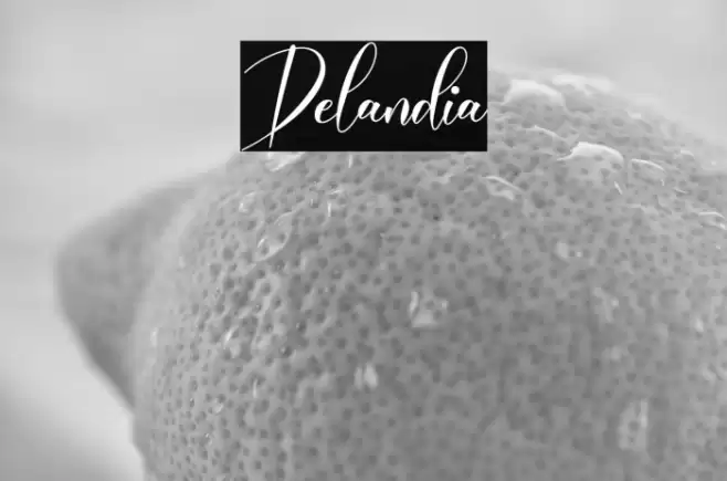 Delandia Font examples