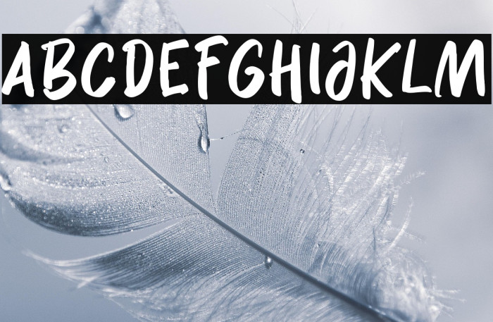 Delaney Nicholas Example 3