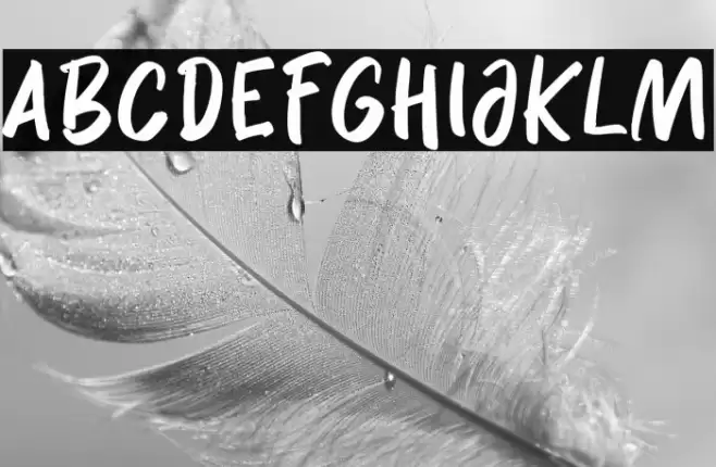 Delaney Nicholas Font examples