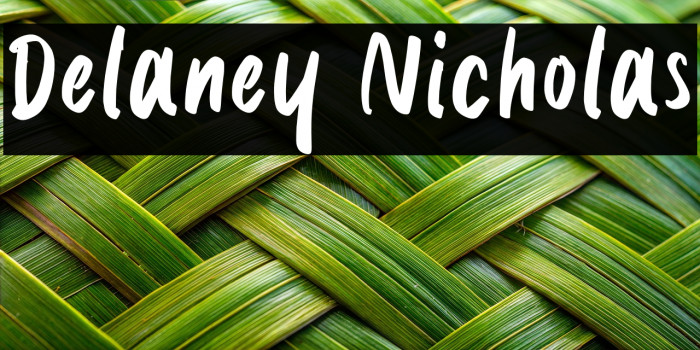 Delaney Nicholas Example 2