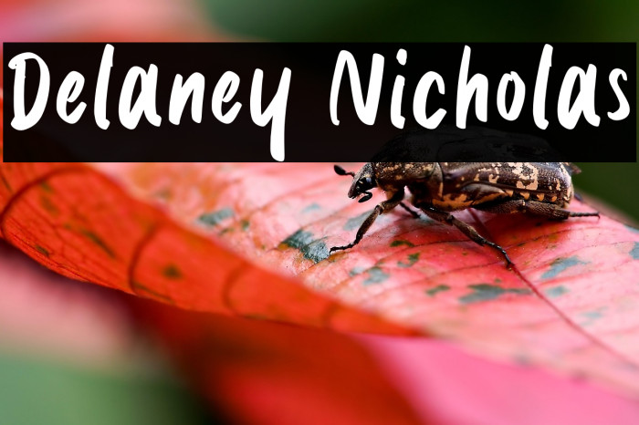 Delaney Nicholas Example 3