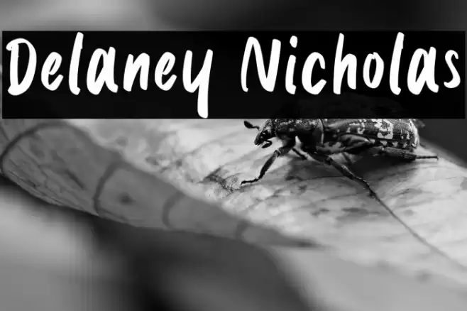 Delaney Nicholas Font examples
