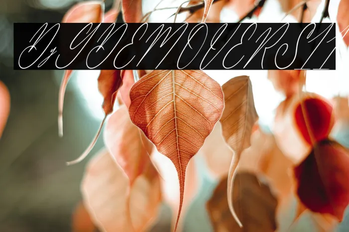 Delanisyta Gabrielle DEMO VERSI Italic Example 2