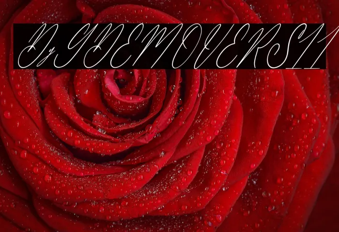 Delanisyta Gabrielle DEMO VERSI Italic Example 3