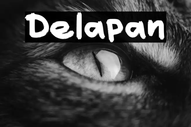 Delapan Example 2