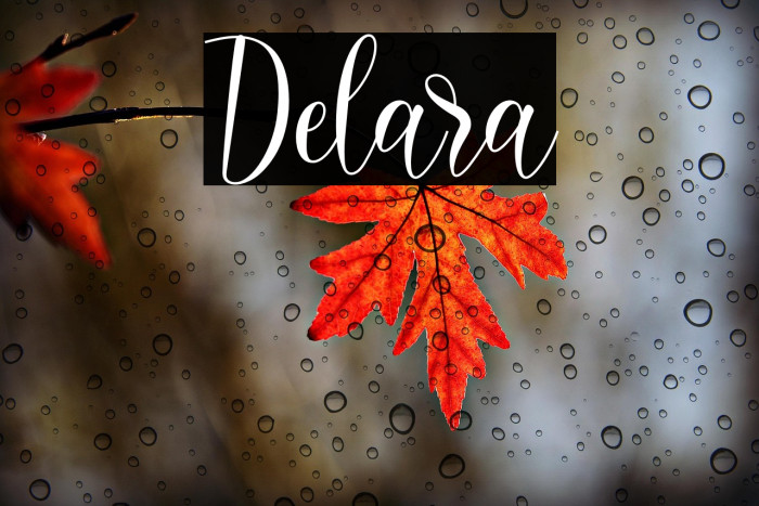 Delara Example 3