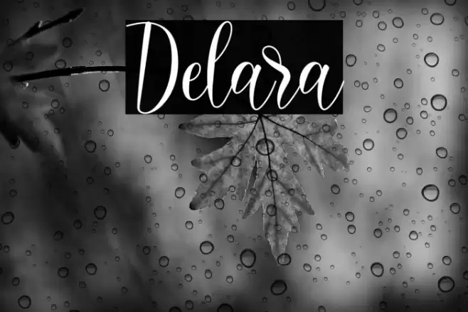 Delara Font examples