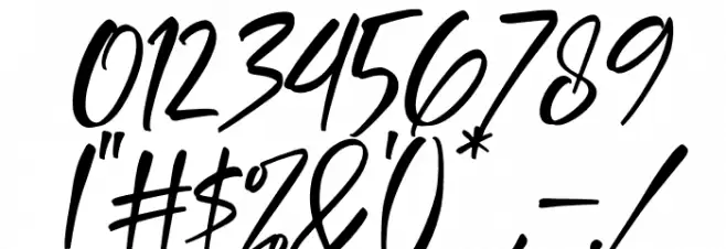 Delashanty Italic Font OTHER CHARS