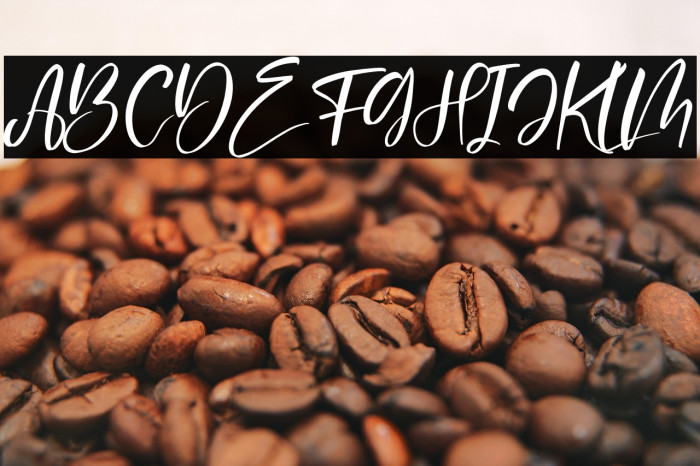 Delashanty Italic Example 1