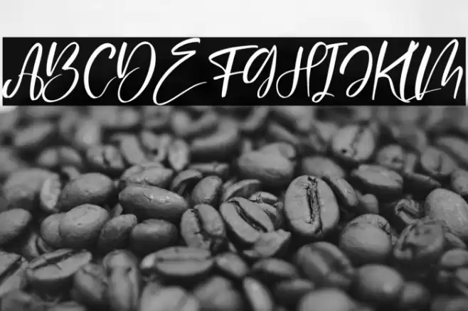 Delashanty Italic Font examples